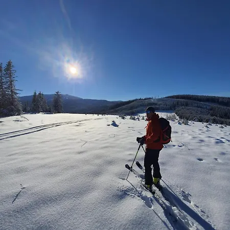 Hébergement de vacances U Pana Boga Za Piecem - Domki W Gorach, Beskidy, Zywiec