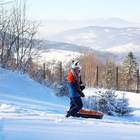 Hébergement de vacances U Pana Boga Za Piecem - Domki W Gorach, Beskidy, Zywiec *