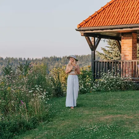 Σπίτι διακοπών U Pana Boga Za Piecem - W Gorach, Sauna, Beskidy, Koszarawa Koszarawa